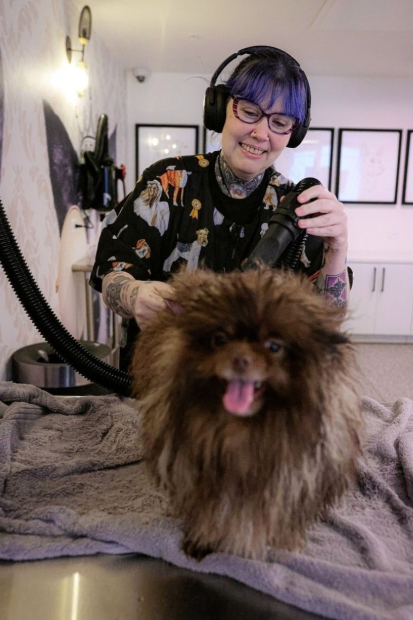 Pink Poodle Club groomer